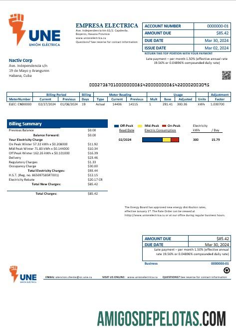 Em branco modelo de conta de serviços públicos Cuba Empresa Electrica em formatos Word e PDF